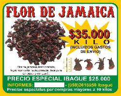 Flor de jamaica Ibague, Colombia