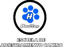 Huellas Escuela De Adiestramiento Canino cali, colombia