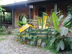 Se Vende Excelente casa finca en la estrella  (lein817) Medelln, Colombia