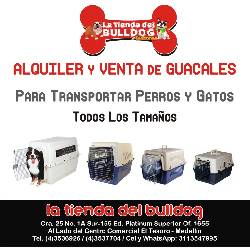 Alquiler de Guacales en Medellin Para Mascotas Medellin, Colombia