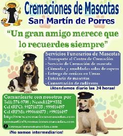 Cremaciones de Mascotas San Martin de Porres Lima, Per