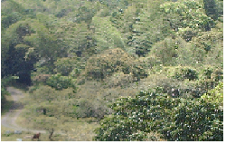 VENDO FINCA sASAIMA, cUNDINAMARCA cH�A, COLOMBIA