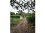LOTE MELGAR TOLIMA $ 28.000.000 Bogota, Colombia