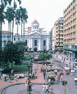 EXCELENTE RESTAURANTE CERCA A PLAZA DE CAICEDO cali, colombia