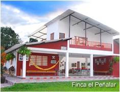 Finca El Pealar - Alojamiento Rural Manizales Manizales, Colombia