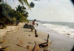 VENDO LOTES QUE COLINDAN CON HERMOSA PLAYA BOGOTA, COLOMBIA