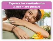 Feelings Garden - Jardn de mis Afectos - HopeImag Maracay, Venezuela
