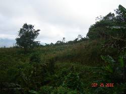 Vendo lote Km24 2100 m2 $37000.000 Cali, Colombia