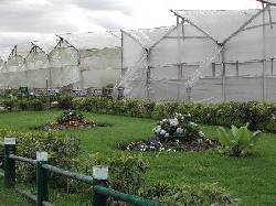 personal para labores de cultivo bogota, colombia