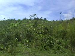VENTA LOTE PARCELACION MONTERRICO -VIA CALI B/TURA Cali, Colombia