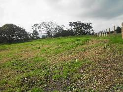 VENPERMUTO EXTENSO LOTE EN ARMENIA 3.369M2 Bogot, Colombia