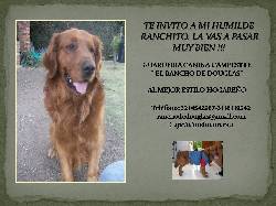 GUARDERIA CANINA EL RANCHO DE DOUGLAS Bogot, Colombia