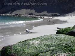 Tours a Peru lima, peru