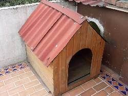 Vendo casa para perro grande Bogot, Colombia