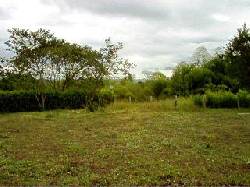 ESPECTACULAR LOTE CONDOMINIO CAMPESTRE Armenia, Colombia