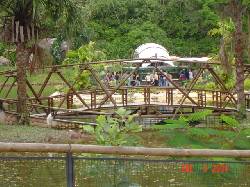 VACACIONES EN EL LLANO ORIENTAL  Tunja, Colombia
