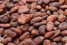 Cacao y caf para la venta a granel cali, colombia