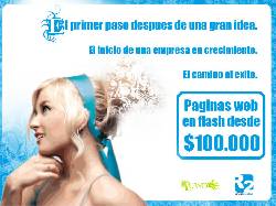 Pginas web en flash desde $100.000 Bogota, Colombia