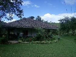 AGROINLASIERRA- Productos calidad orgnicos cali, colombia