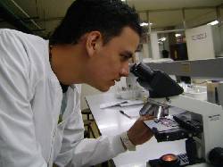 docente de ciencias naturales cali, colombia