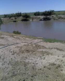 800 hectareas agricolas ganaderas San Luis, Argentina
