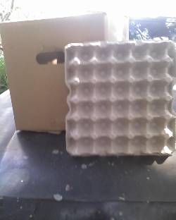 Vendo Cajas y Separadores para Huevos Maracay, Venezuela