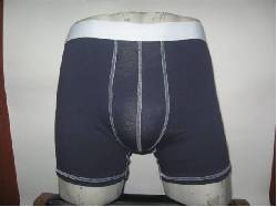 BOXER A $4.500 cali, colombia