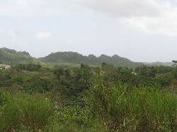 Haciendas de Dorado, Dorado, PR Bayamn, Puerto Rico