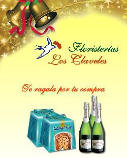 Floreria Los Claveles: Promocion Navidea Lima, Peru
