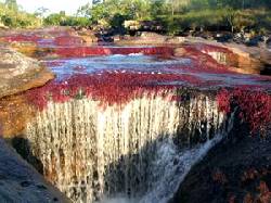 CHIVAS Y VIAJES POR COLOMBIA - CAO CRISTALES Villavicencio, Colombia