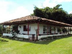 VENDO HERMOSA FINCA EN ZONA CAFETERA CHINCHINA, COLOMBIA