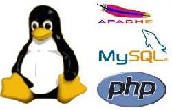 Paginas web a muy buen precio (Gratis para fundaciones) Santiago de Cali, Colombia