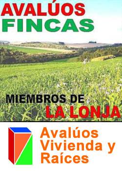 AVALOS de LOTES, Terrenos y  FINCAS en BOGOT miembros Bogota, Colombia