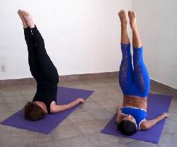 No vayas a Gimnasios,  en  la comodidad de tu casa clas bogota, Colombia