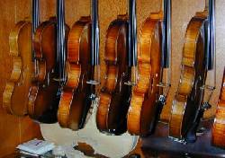 Clases de violn (Metodo Suzuki) A domicilio Bogota, colombia