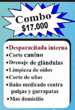 Peluquera canina $17mil full Dogs Wash cali, colombia