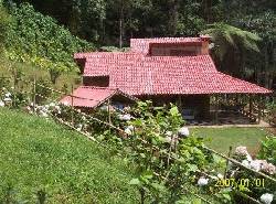 VENDO O PERMUTO HERMOSA FINCA EN ELKM 18 CERCA A CALI CALI, COLOMBIA
