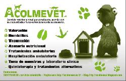veterinario domicilio Bogota, Colombia