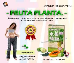 ADELGACE CON FRUTA PLANTA -  REDUCE WEIGHT   Bogota, Colombia