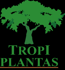 Arboles - Tropiplantas cali, colombia