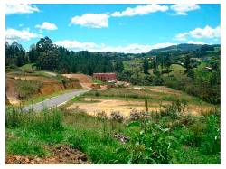 2.670 Mts2 - Lote en Veranda - Envigado Guarne, Colombia