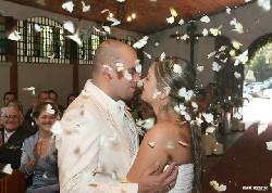 Mariposas vivas para liberacion en eventos Bello, Colombia