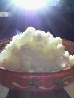 KEFIR O TIBICOS: El Mejor Cultivo Probiotico Bogot, colombia
