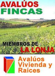 AVALOS BOGOT  Terrenos  FINCAS Locales Bodegas Oficin Bogota, Colombia