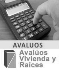 AVALOS de Activos Fijos Inmobiliarios,  Contables, FIN Bogota, Colombia
