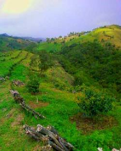 Finca para parcelar, cultivar o negocio - San Vicente Guarne, Colombia