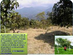 HERMOSO LOTE bogota, colombia