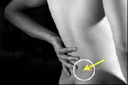 Fisioterapia Especializada en la localidad de Suba  Bogot D.C., Colombia
