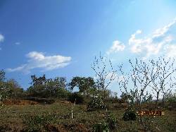 SAN GIL LOTE 360M2 VIA BARICHARA SAN GIL, COLOMBIA
