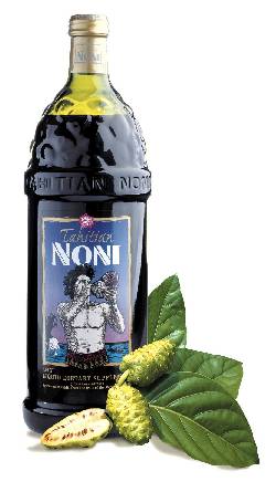 jugo de noni, mejora tu salud y obtn ganancias supia caldas, colombia